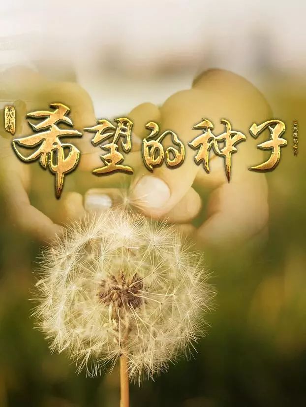 看着镜子中的我，内心涌动着万千思绪。今天，我想分享一段关于我的视频，希望能通过这个平台，与大家一同探讨关于自我认知和成长的话题。-第1张图片
