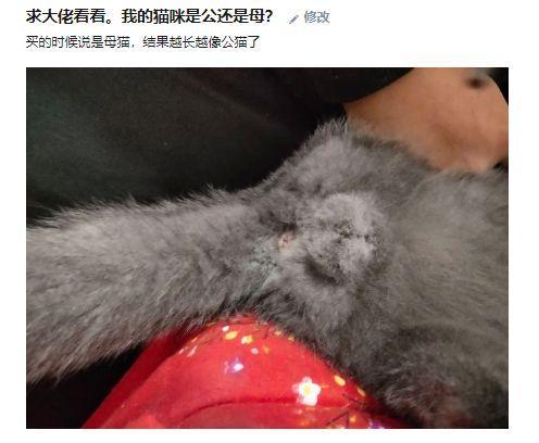放荡的小峓子在厨房肉肉放荡的小峓子在厨房肉肉-第1张图片