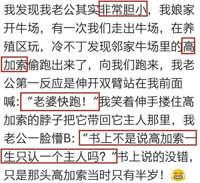 鄂州父女瓜完整版-第1张图片