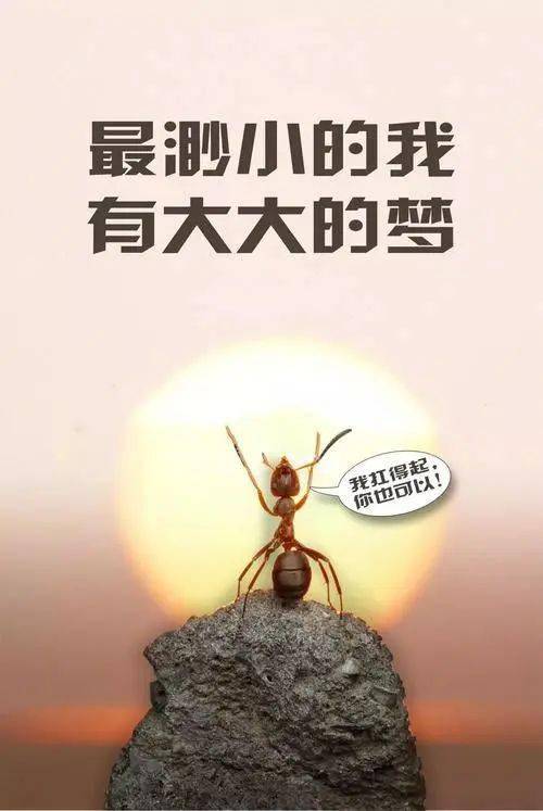 正能量网站WWW正能量你懂我意思正能量网站，你懂我意思