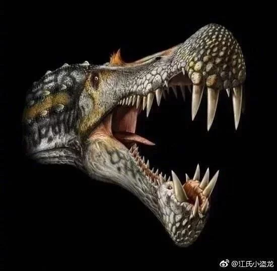 利爪之王利爪之王