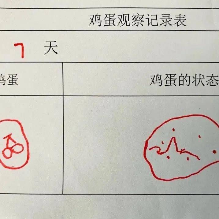 xzl仙踪林精品幼儿园的课程设置XZL仙踪林精品幼儿999——幼儿成长的新选择