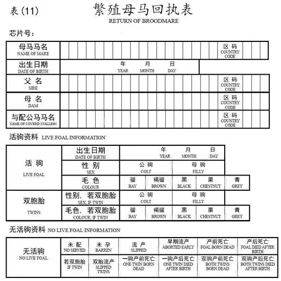 马匹买卖网站马匹买卖网，便捷交易新选择