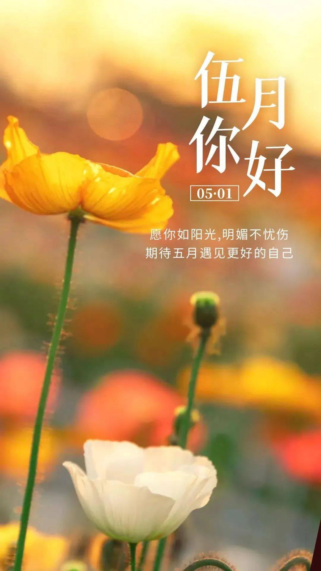 婷婷五月五婷婷五月五，五月的美好时光-第2张图片