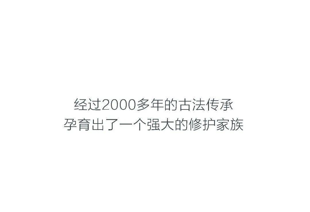 杂乱家族杂乱家族的故事-第2张图片
