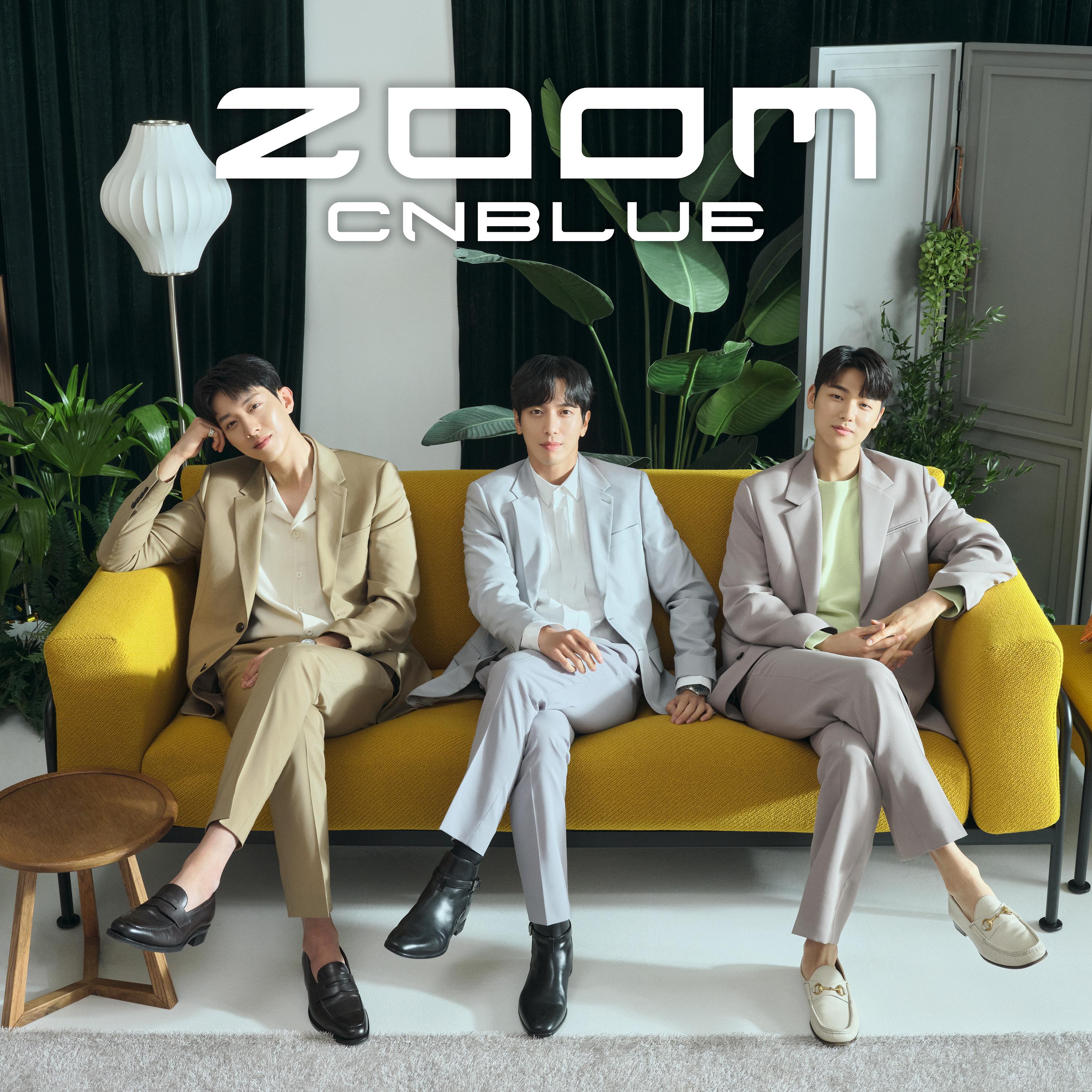 能播放的zoom俄罗斯能播放Zoom俄罗斯的解决方案-第3张图片