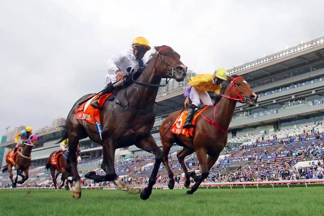 香港马会2021年开奖日期揭晓