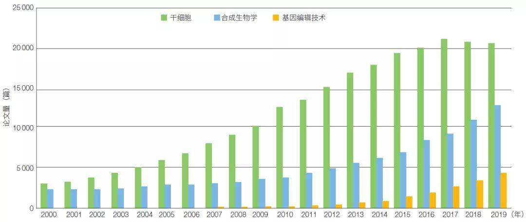 美国伦理眉睫膏，伦理问题的紧迫性与应对策略