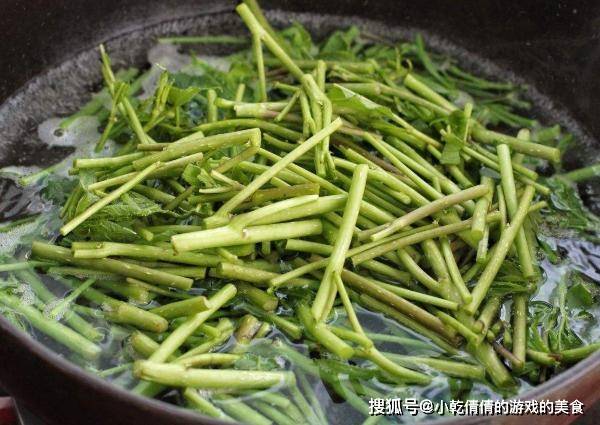 笔头菜笔头菜，美味与健康的完美结合-第3张图片