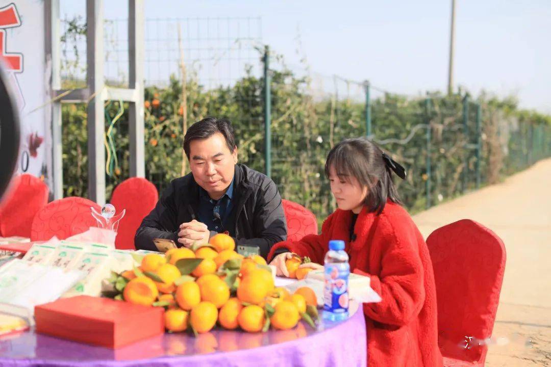 蜜橘直播APP蜜橘直播APP，便捷直播新体验