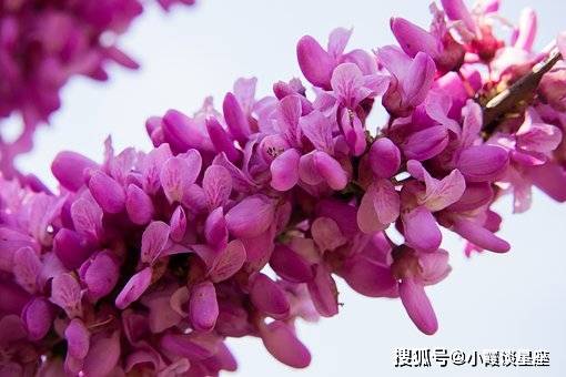 校园列车上的小黄说说1000字怎么写校园列车上的小黄说说-第2张图片