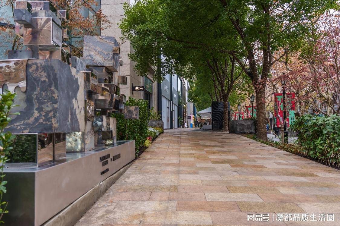 欧美综合社区app欧美综合社区，多元文化交融的新天地-第2张图片