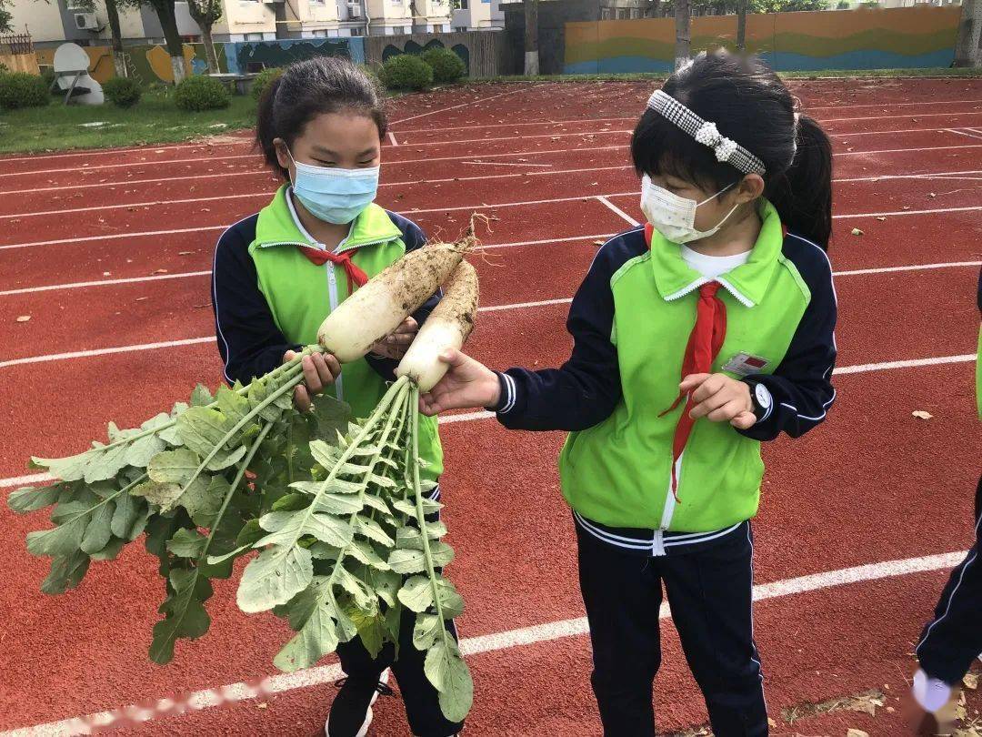 男女在一起抱萝卜的视频高清-第2张图片