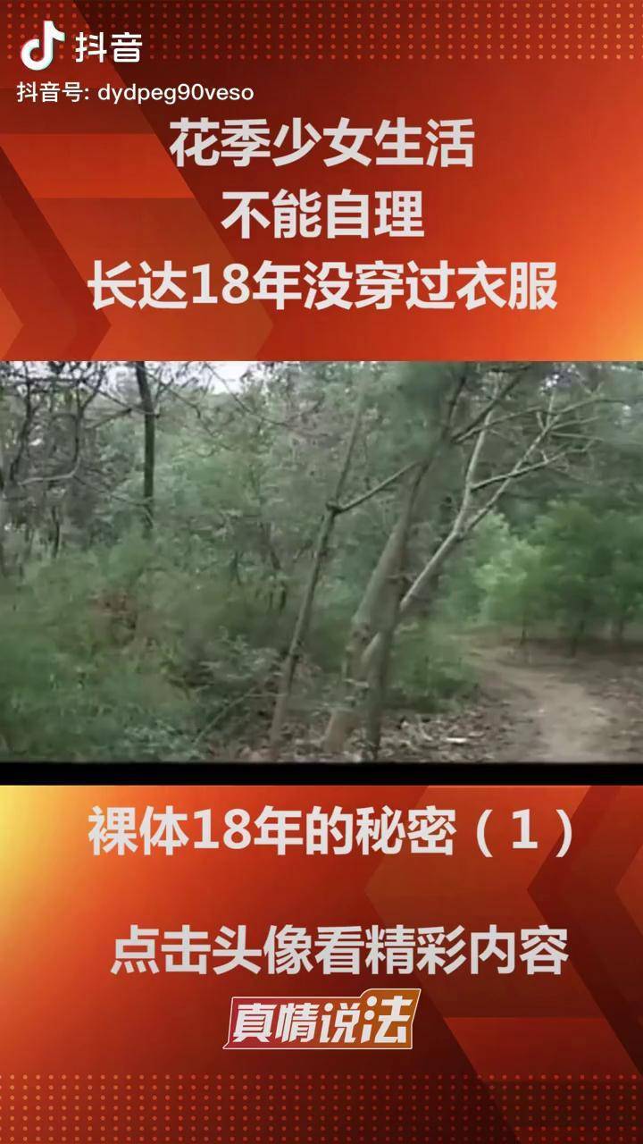 花季传媒，免费观看的秘密花季-第2张图片