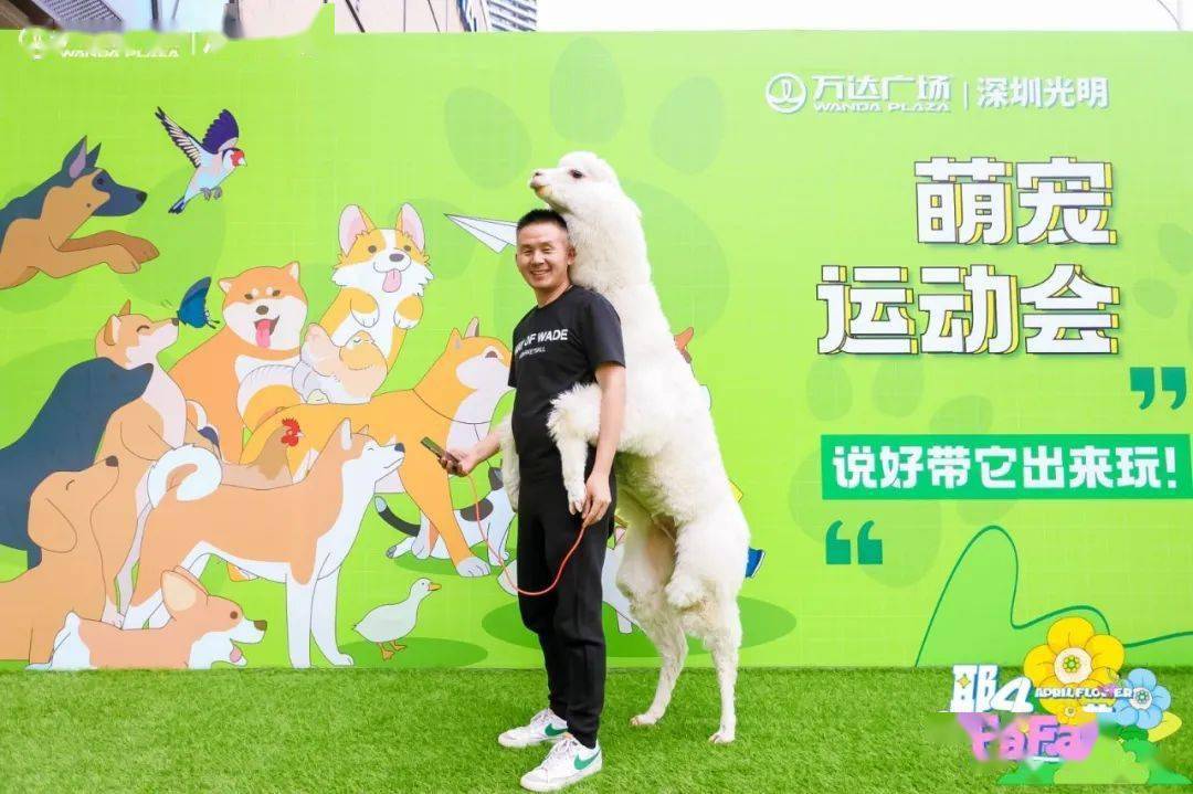 阿猫阿狗下载站_安卓绿色软件下载站阿猫阿狗2下载-第2张图片