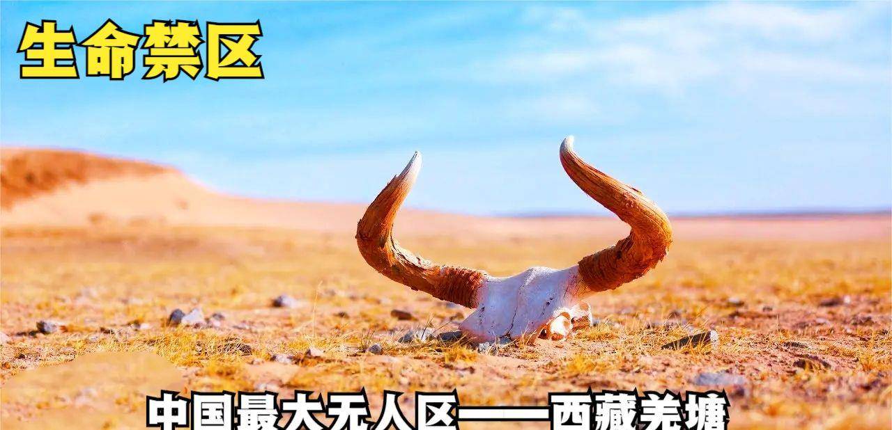 亚洲无人区码卡二卡三卡亚洲无人区码卡二卡三，探险与自然的神秘交汇