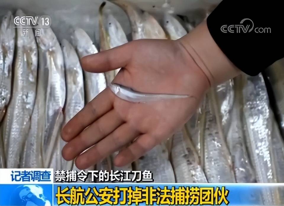 丰年轻的继拇中文3的特色和机能_第3集丰年轻的继拇中文3特色与机能介绍