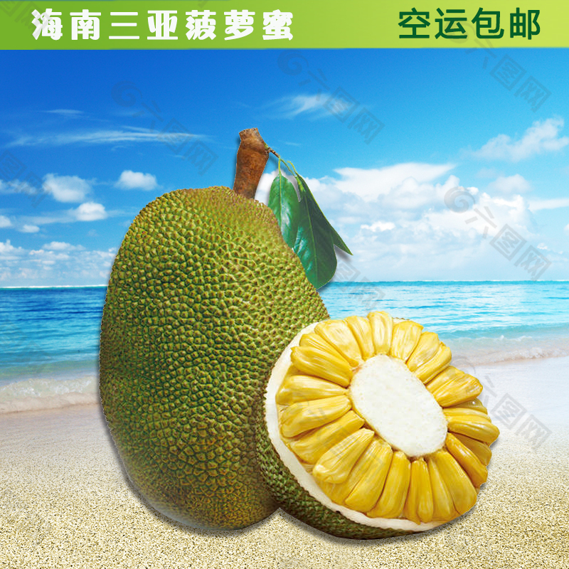 菠萝蜜APP网站介绍