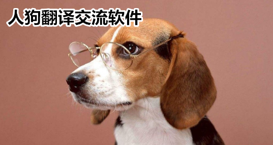 人狗大战2免费观看正版人狗配之社会丑态