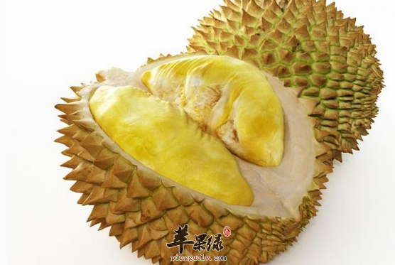榴莲破解版无限次数ios榴莲破解版无限次数二维码探索