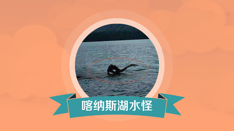 怪怪水族箱中文版-第2张图片