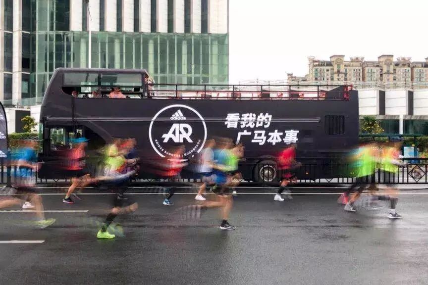 2019年马会正版2019马会正版，正版马匹展的回顾与展望