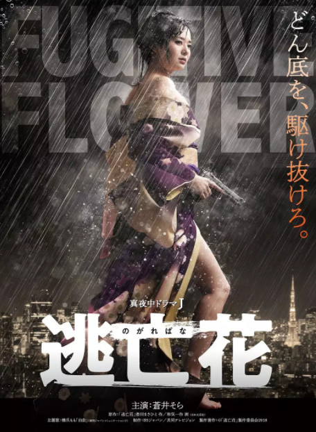 仓井老师动作片，探索动作魅力