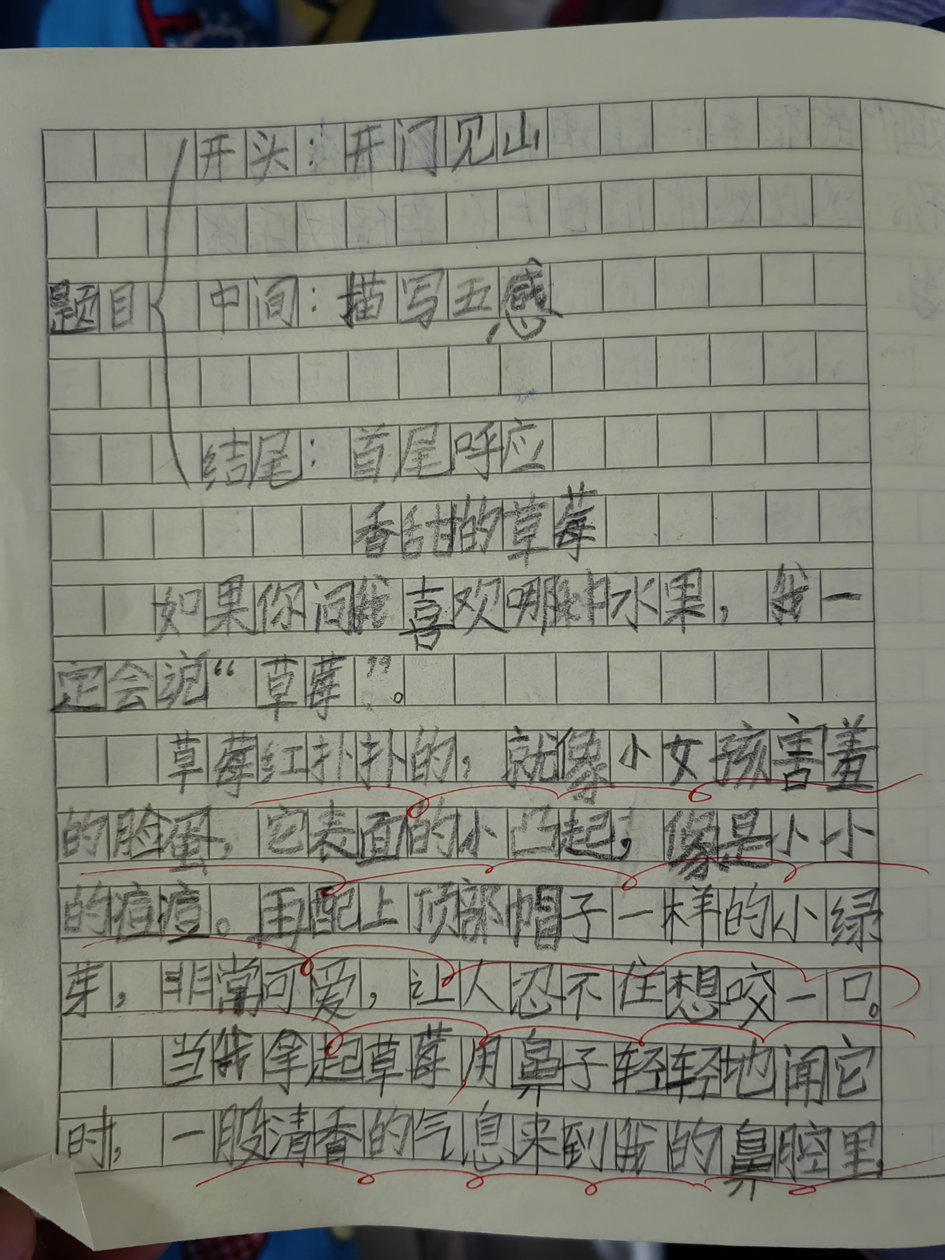 老师迈开腿让尝尝你的草莓作文老师迈开腿让尝尝你的草莓-第3张图片