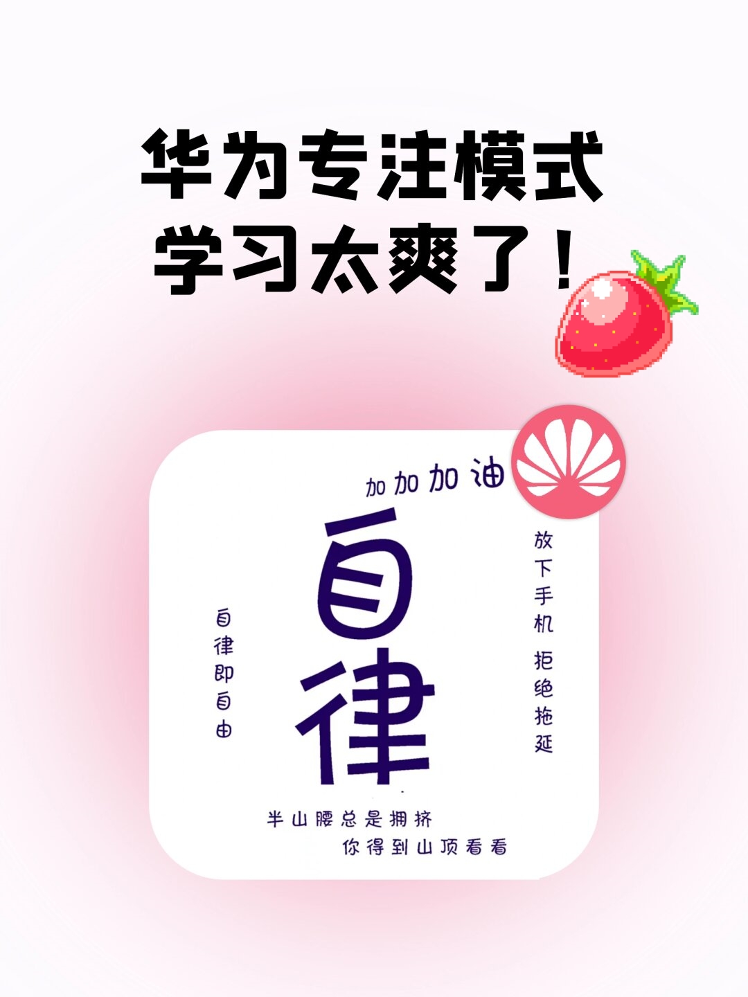 发掘网，网络探索的新篇章-第1张图片