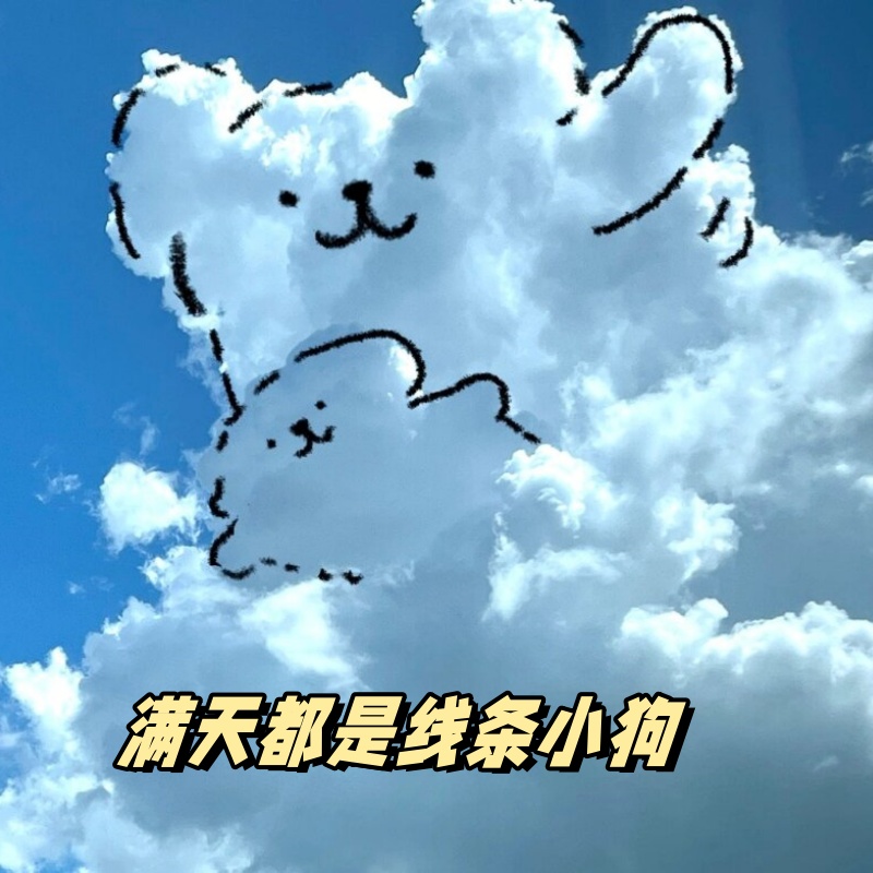 中国Zoom人狗APP，探索人与宠物之间的奇妙世界