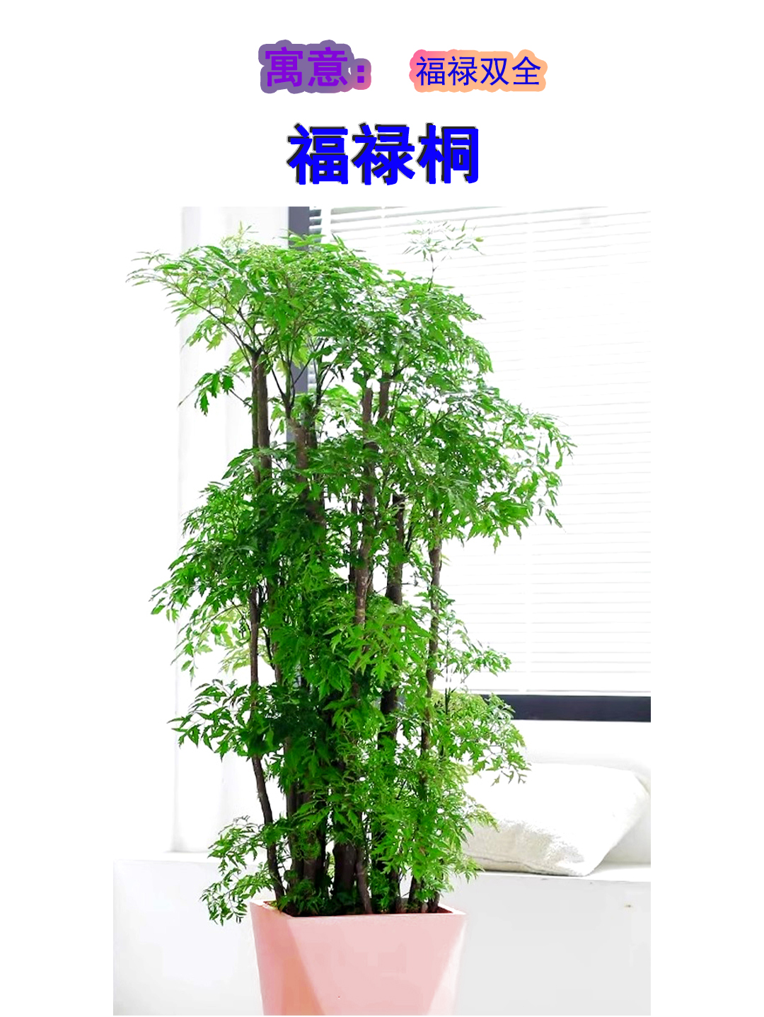 发泄办公室发泄办公室，释放压力与心灵的绿色空间