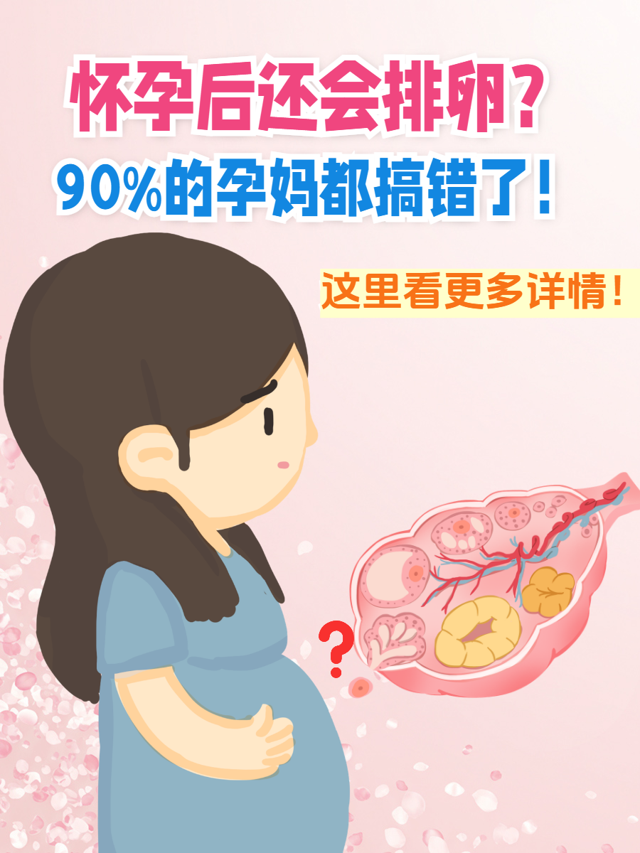 跟大肚子孕妇的故事免费阅读跟大肚子孕妇的故事-第2张图片