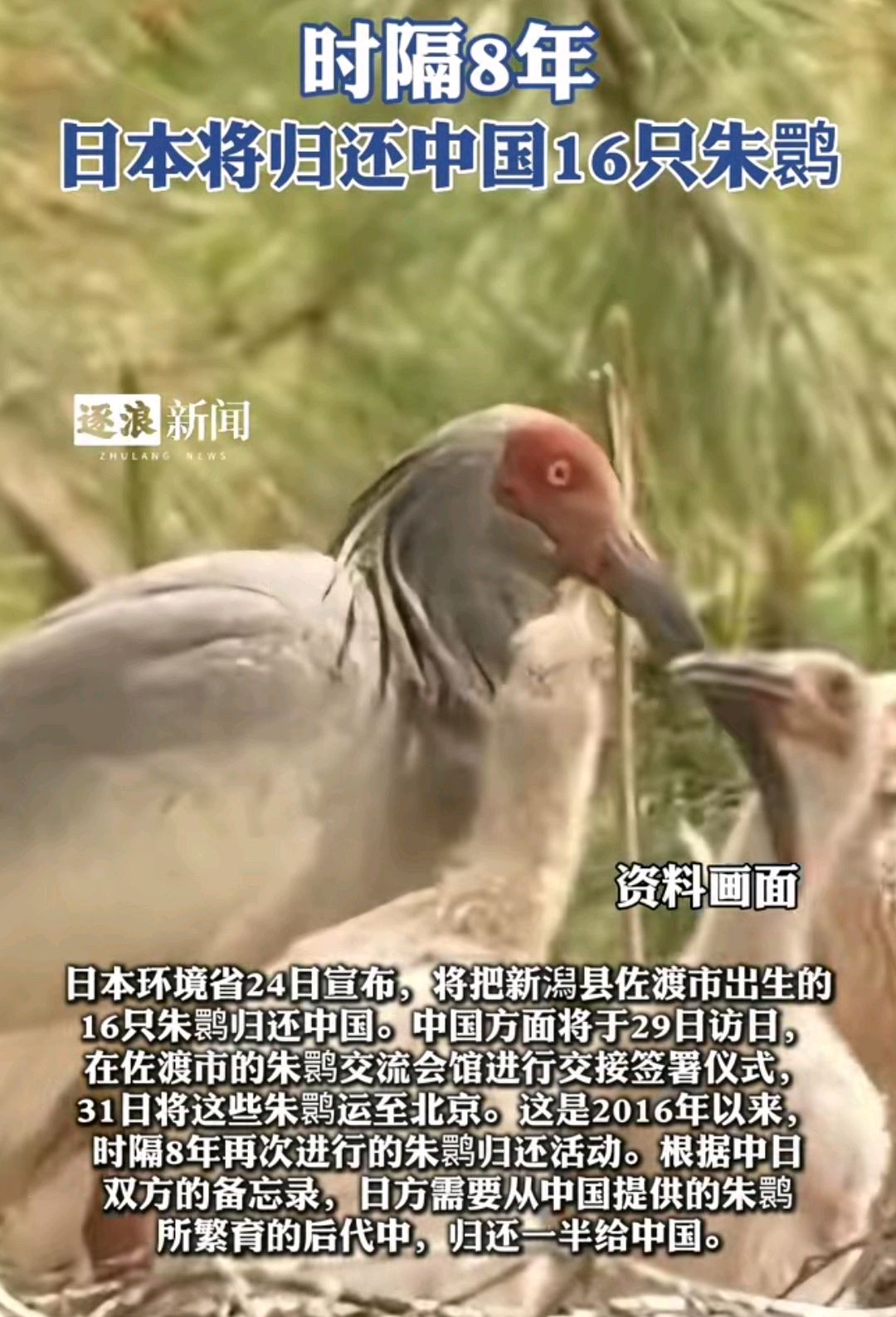 日本欧美在线高清，文化交融的新篇章-第1张图片