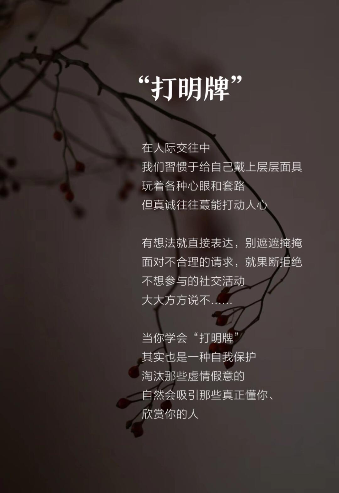 打破沙锅璺到底，探索未知的勇气与智慧-第3张图片