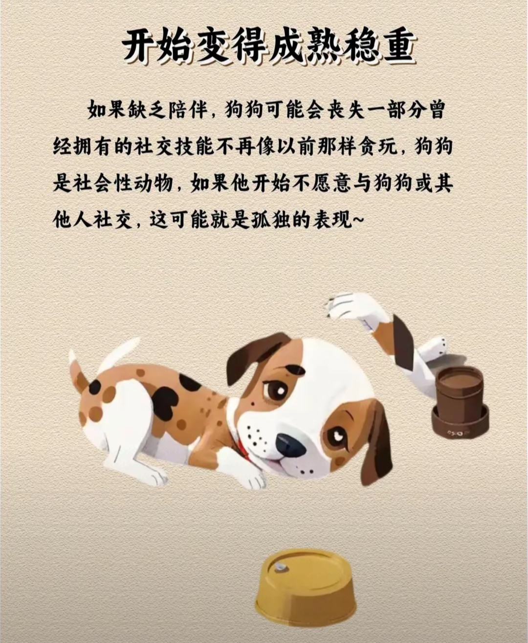 老公不在和家里的狗家中的温馨与缺失，老公不在与狗的陪伴-第2张图片