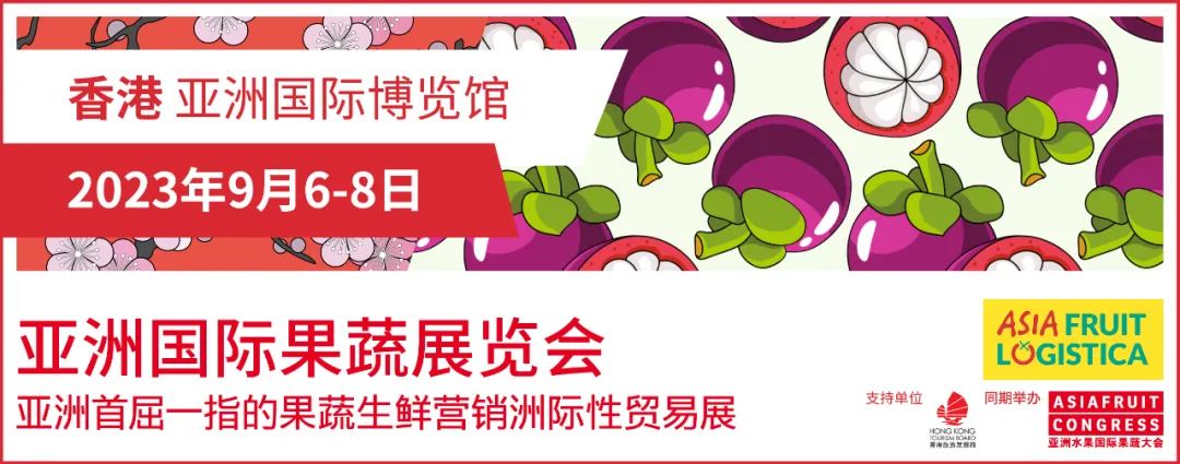 香港今期开奖结果2023回顾-第2张图片