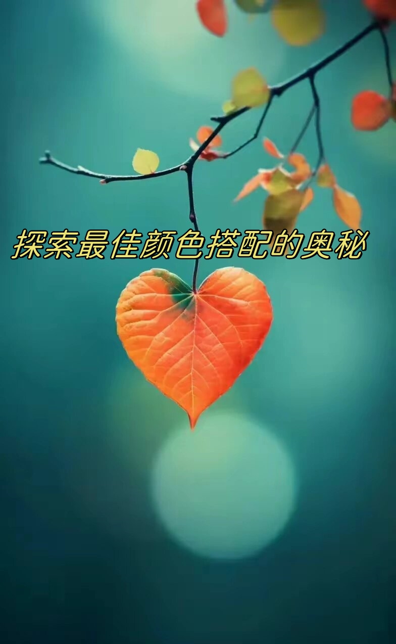 依依色导航依依色导航，探索色彩的奥秘-第2张图片