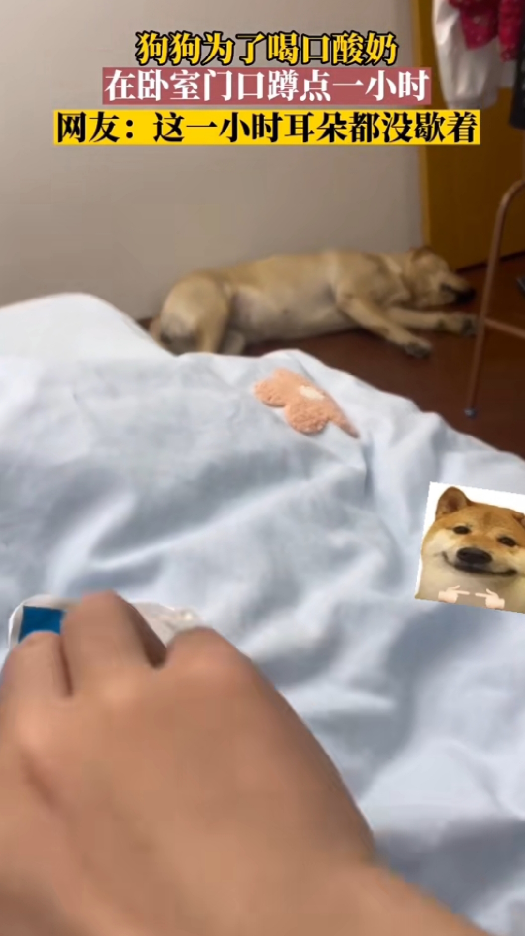 狗狗干了我一小时