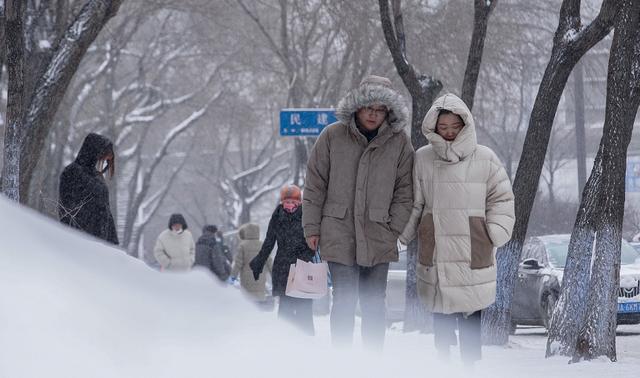 强壮的公么与小雪电影0强壮的公么与小雪-第2张图片