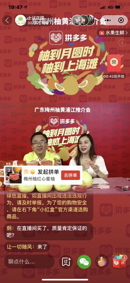 蜜柚app直播下载安装蜜柚APP直播下载体验