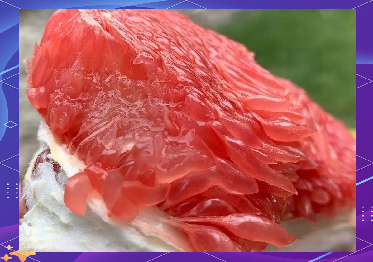 蜜柚视频下载高清蜜柚视频下载高清文章-第3张图片