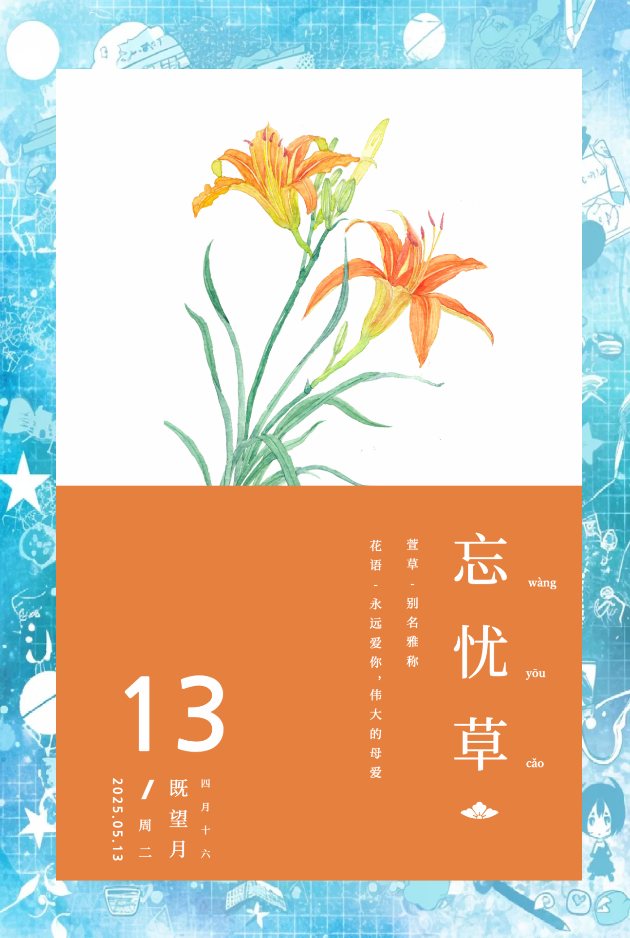 忘忧草蜜芽，探索自然之美-第2张图片