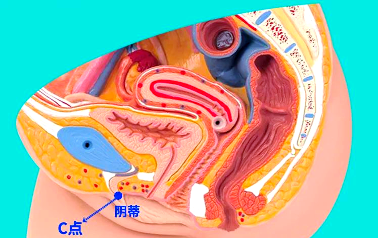 日日摸天天添到高潮日日摸天天添，生活中的高潮与成长-第2张图片