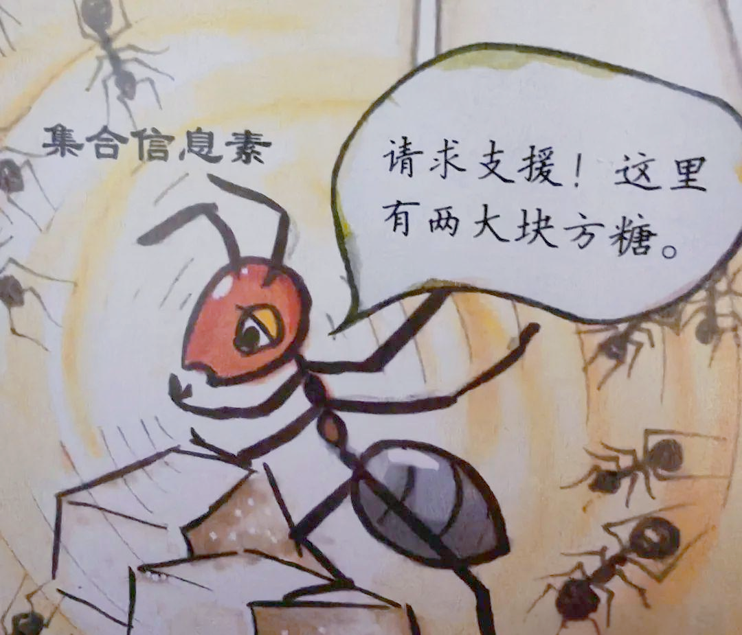 雌黄是什么意思?雌黄蚂蚁庄园，探索蚂蚁世界的奇妙之旅