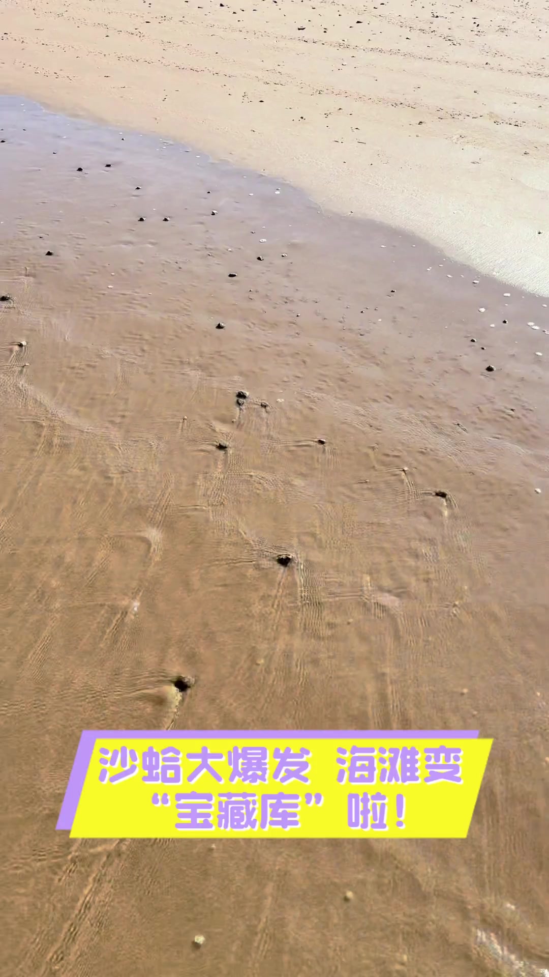 邪怒海滩的宝藏在哪邪怒海滩的宝藏探索