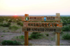 有眼不识泰山的典故与蚂蚁森林-第1张图片