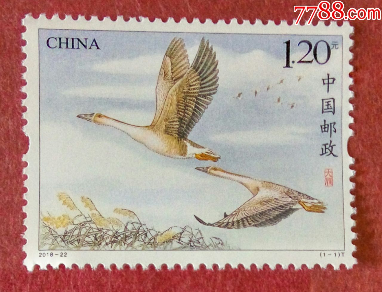 2019看图开特马资料图部2019看图开特马，新时代的启航