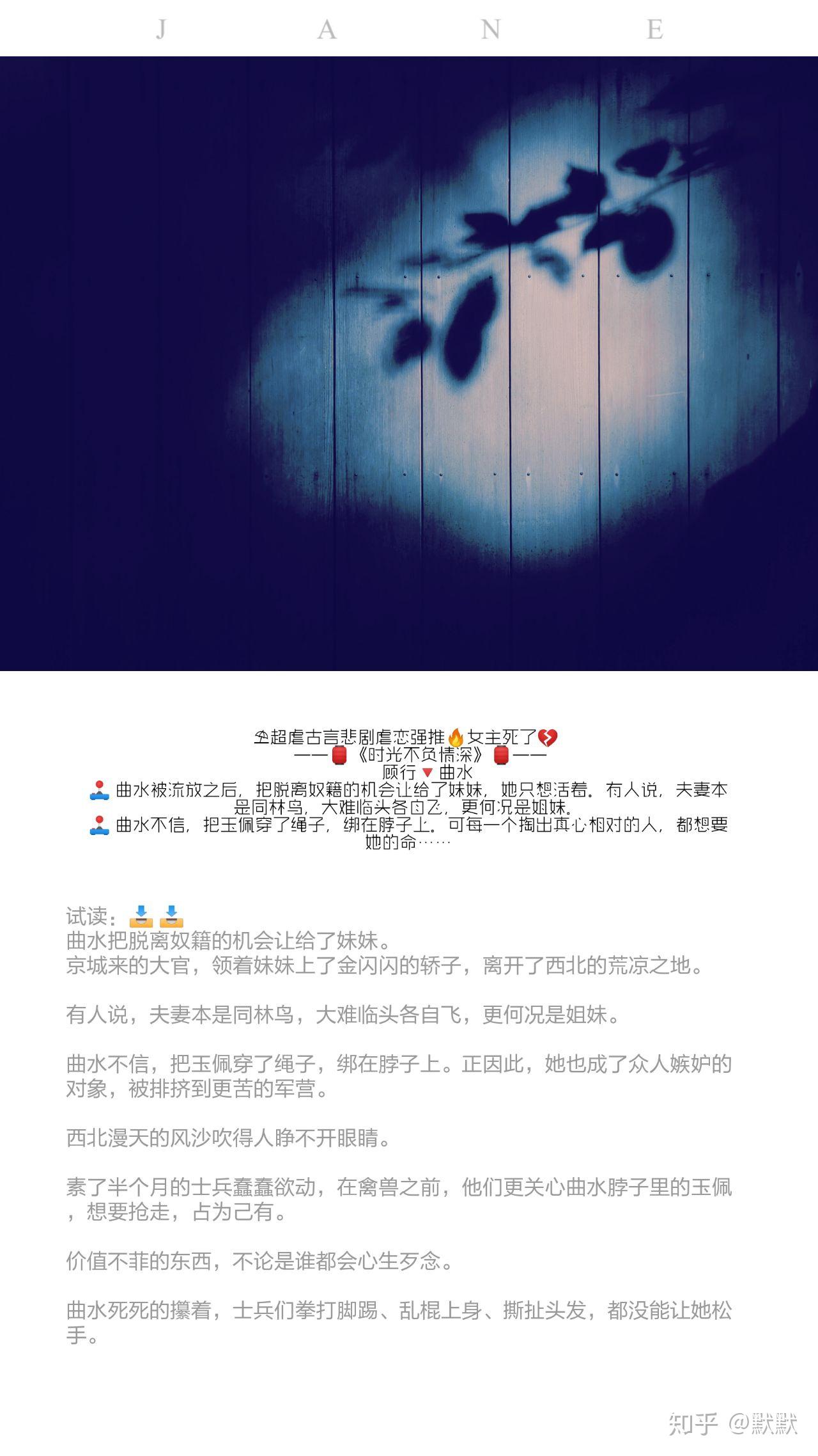 老王头的春天，林初晴最火的一句