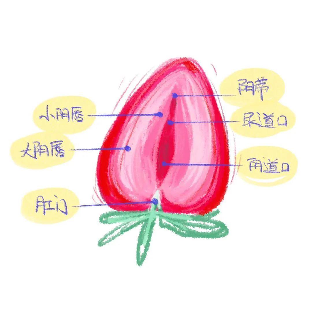 又大又粗又长是什么意思大荫蒂，又大又长又硬又紧的神秘植物-第2张图片
