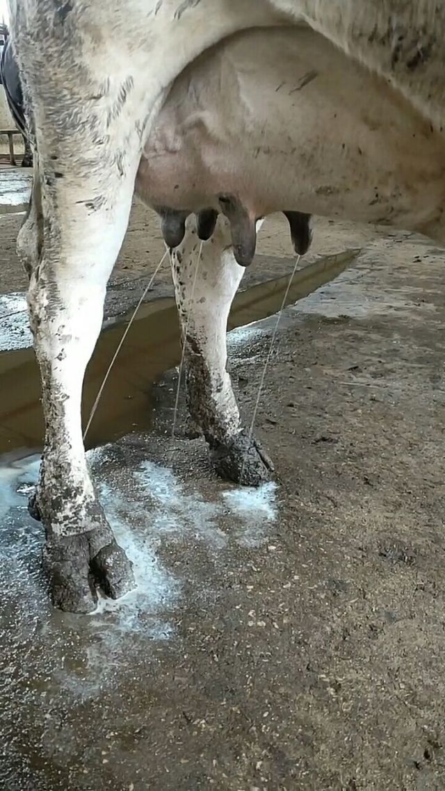 妈妈，我哪里好涨